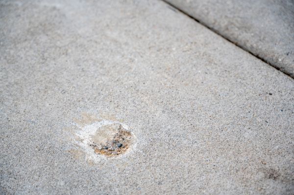 Cost of Pathway Raising in Bradenton